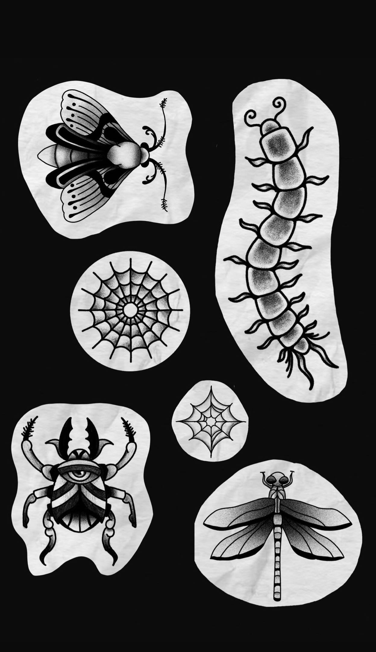 Flash Sheet 2 — Entomologie